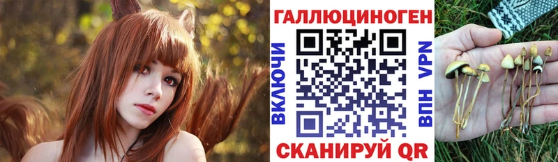 Купить закладки  Карпинск  Галлюциногенные грибы GOLDEN TEACHER 